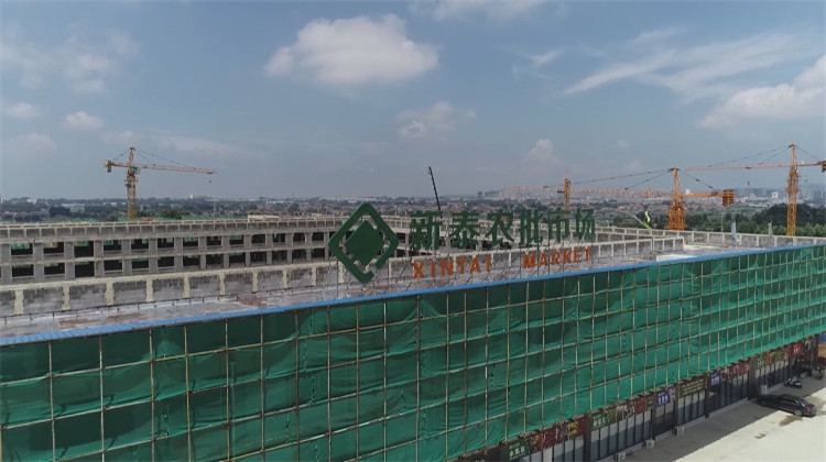 泰安新泰市加快推进青云智慧冷链物流园建设 楼宇智能化工程施工全面展开